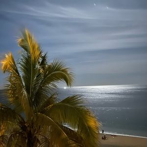 Meet your Posher, B.K.